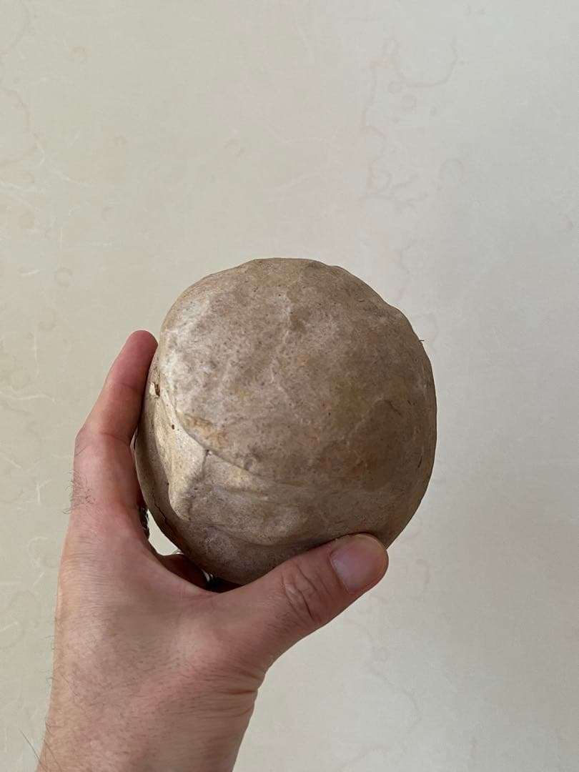 高崎達磨 達磨の木型　2 張子の達磨　中身あり　木型付き　骨董　民藝