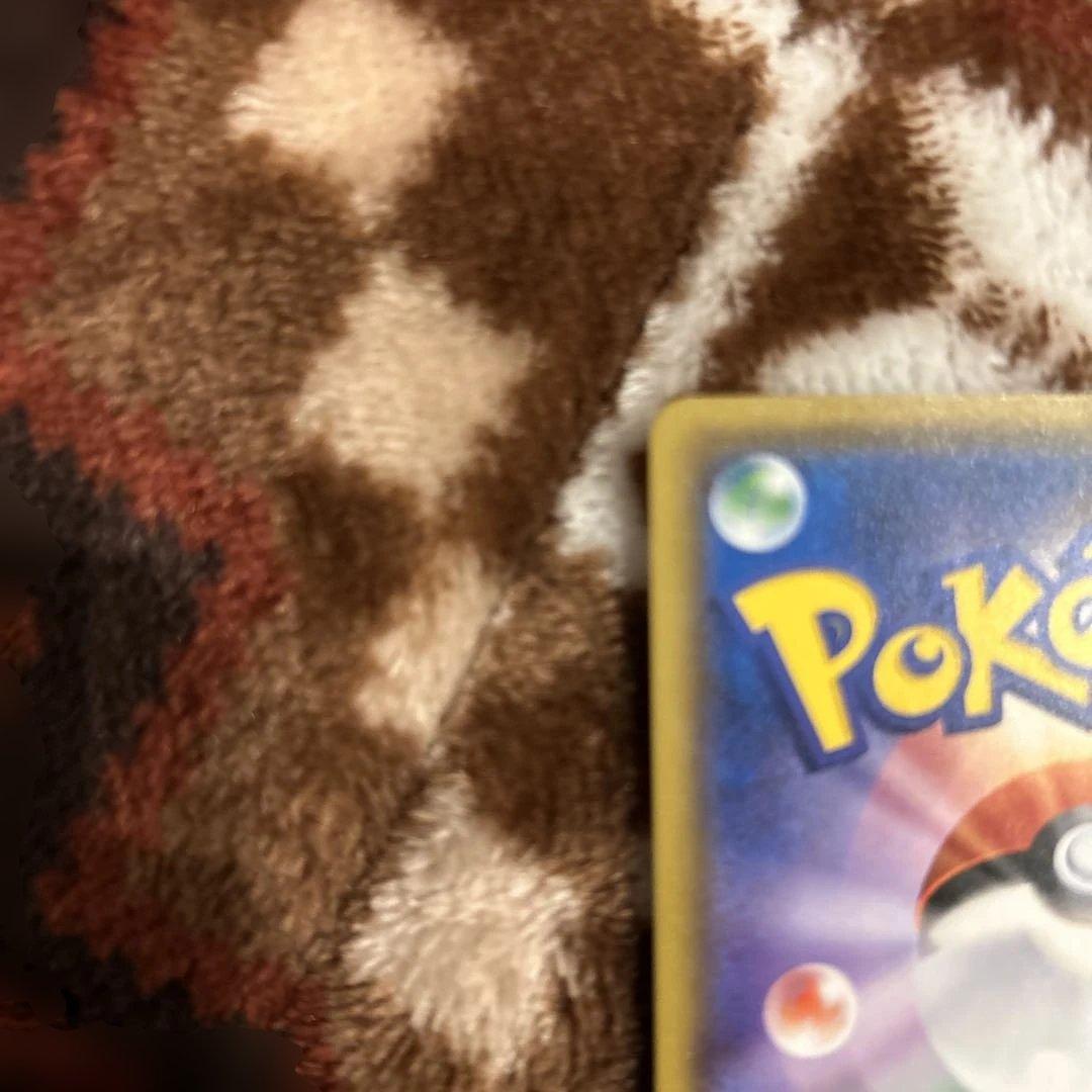 桜アフロのピカチュウ：ポケモンセンタートウキョーDX オープン記念 にほんばれ