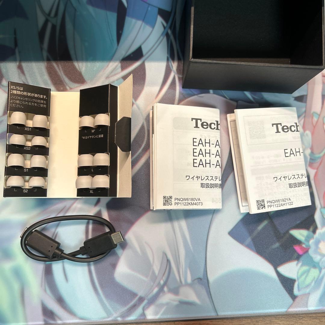 イヤホン Technics EAH-AZ80-S