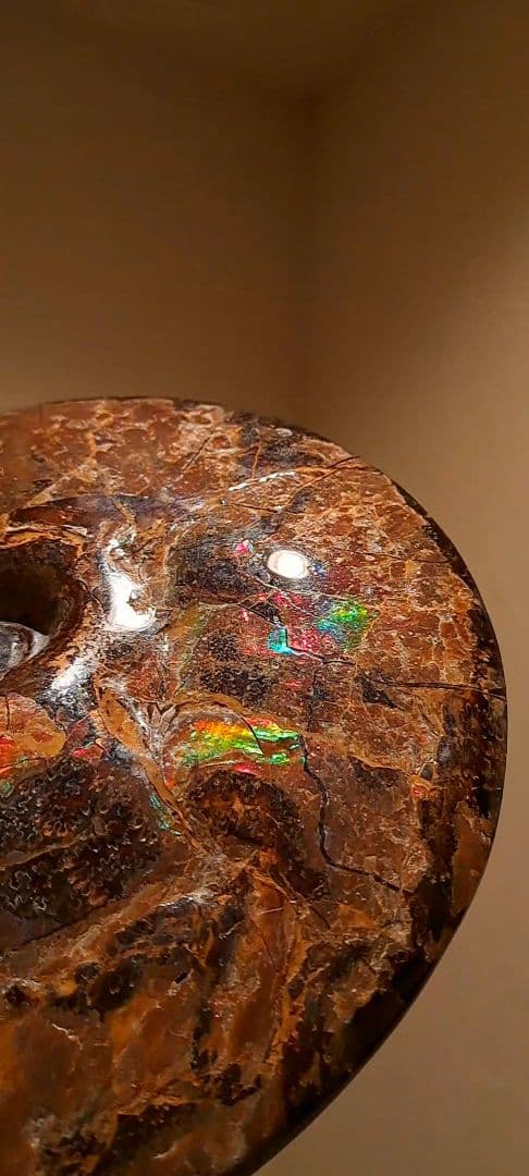 アンモライト　カナダアルバータ　化石　完全体　両面虹色　７色