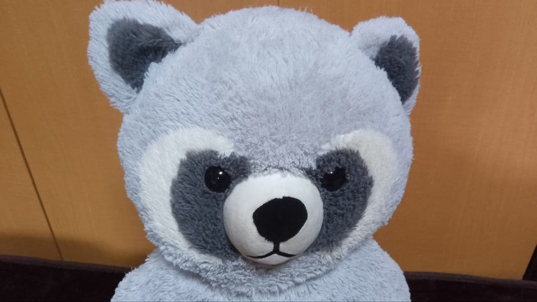 ニトリ　Nウォームヌイグルミ　アライグマ　Q L ぬいぐるみ　あらいぐま