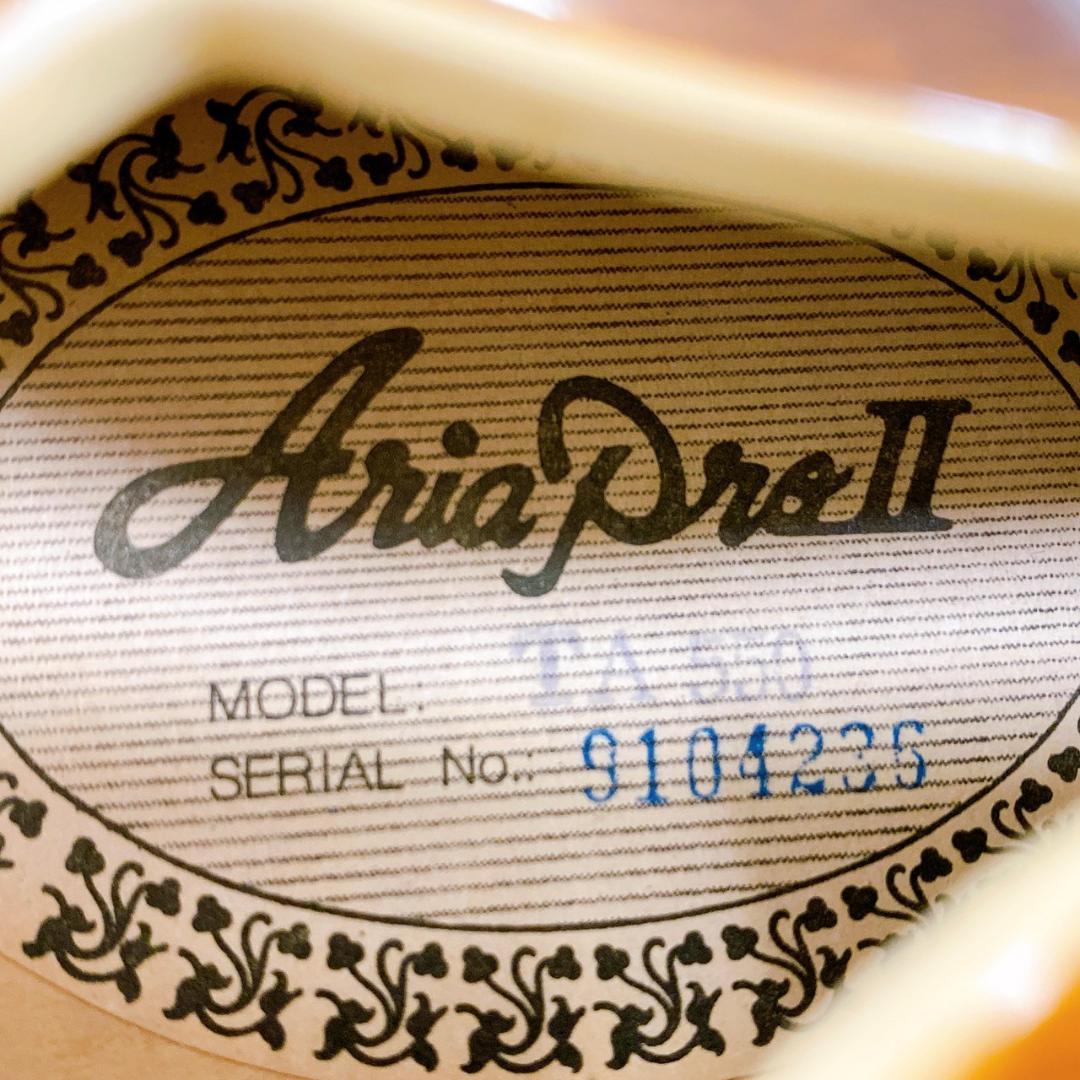 Aria Pro II TA-550　セミアコースティックギター／ソフトケース付