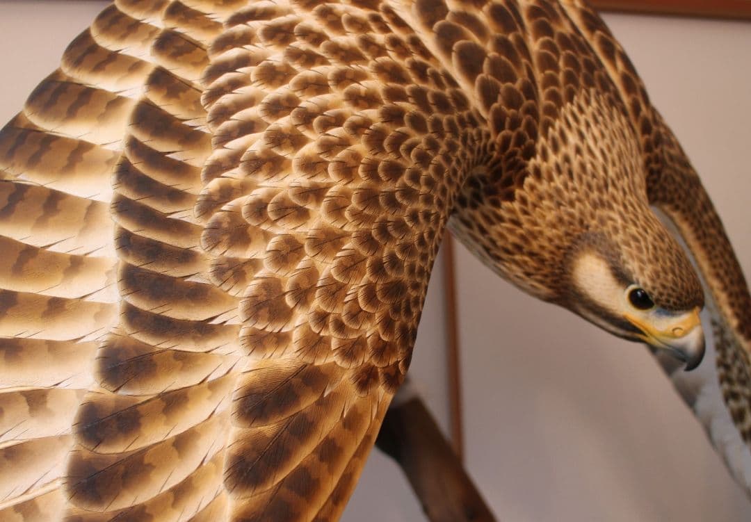 バードカービング ノスリ（リアルサイズ）