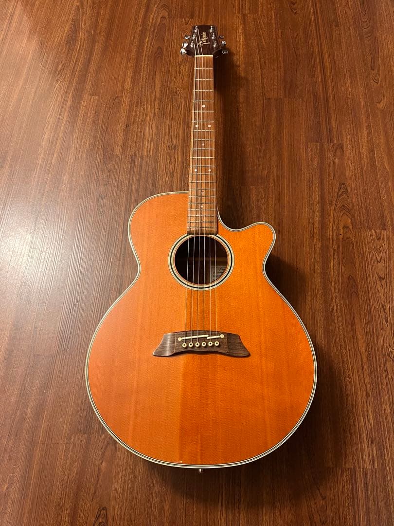 Takamine エレアコ PT-106