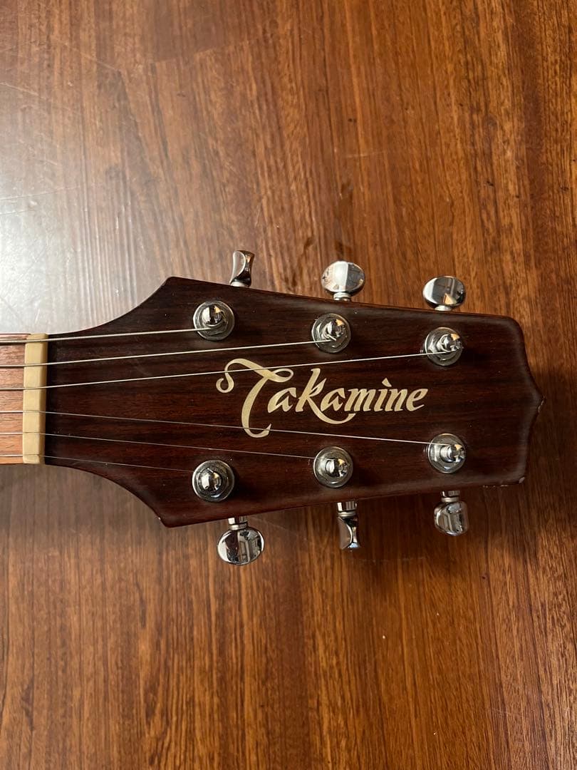 Takamine エレアコ PT-106