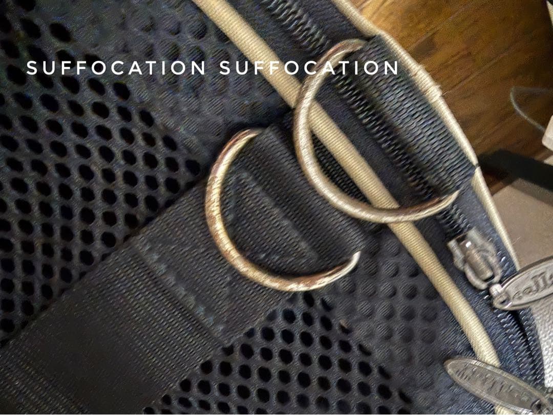 celltei ペット用キャリーバッグ　電車・バス、非常時にも！