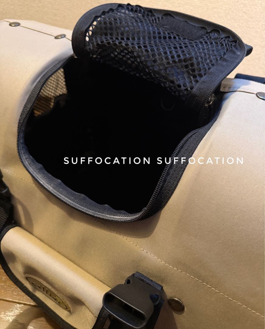 celltei ペット用キャリーバッグ　電車・バス、非常時にも！