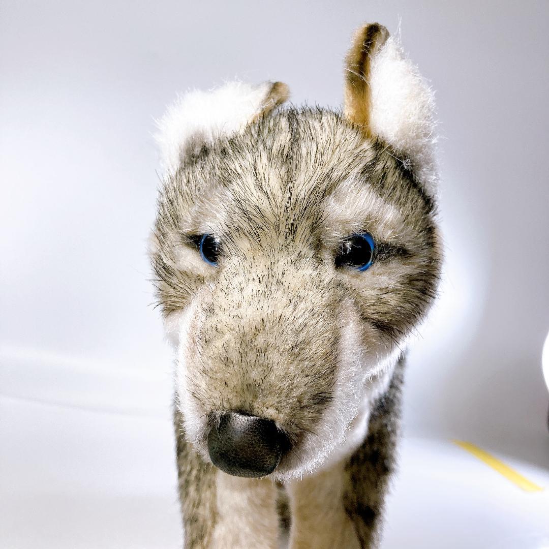 HANSA 子オオカミ 立ち・座り姿 2体セット　オオカミ　|2410|