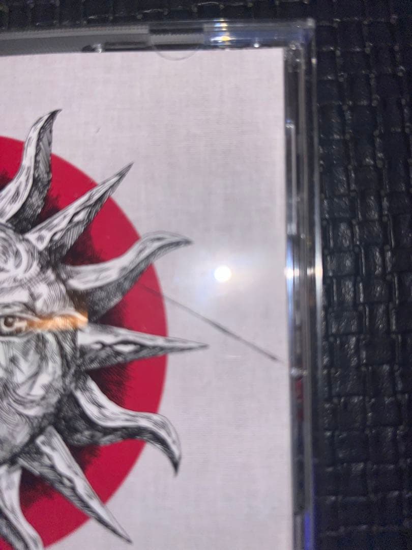 ハルカミライ 第1回武道館ライブDVD