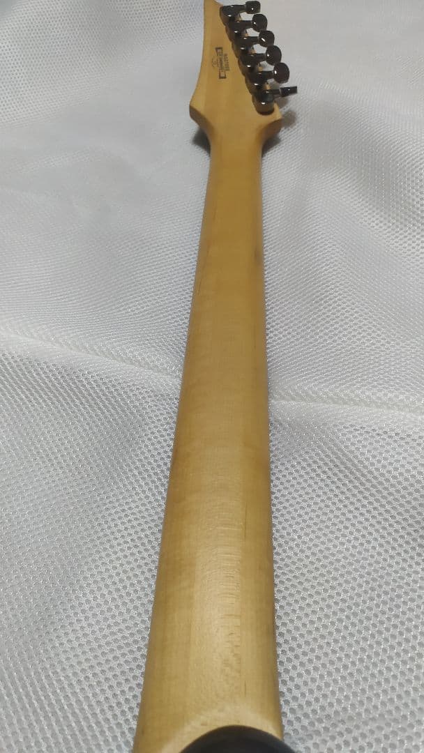 ギター Ibanez RG270SE