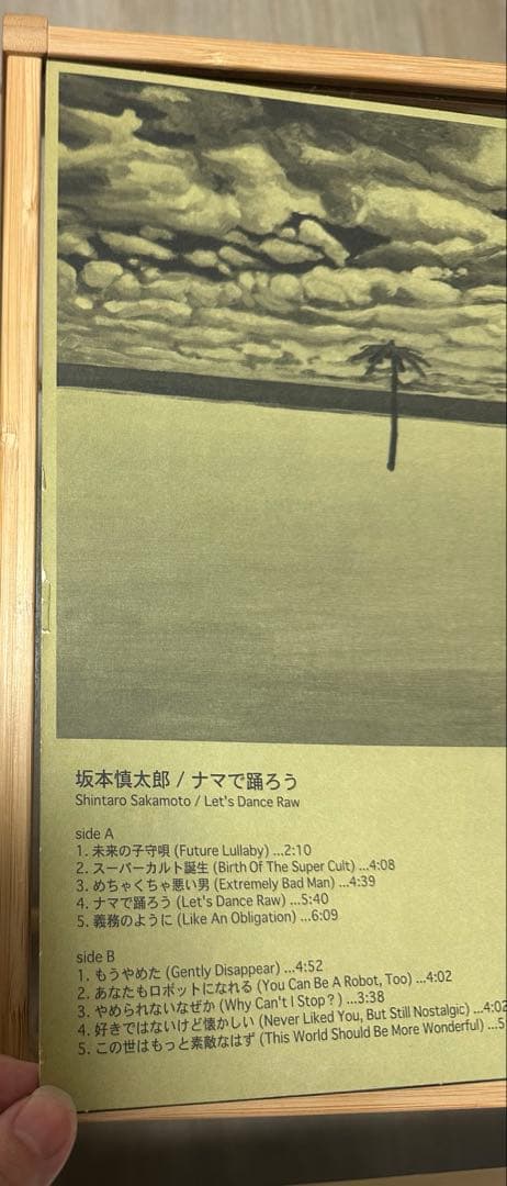 坂本慎太郎　ナマで踊ろう　レコード　海外版