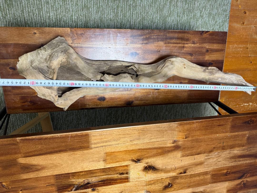 ADA ホーンウッド　2本セット　特大　送料無料