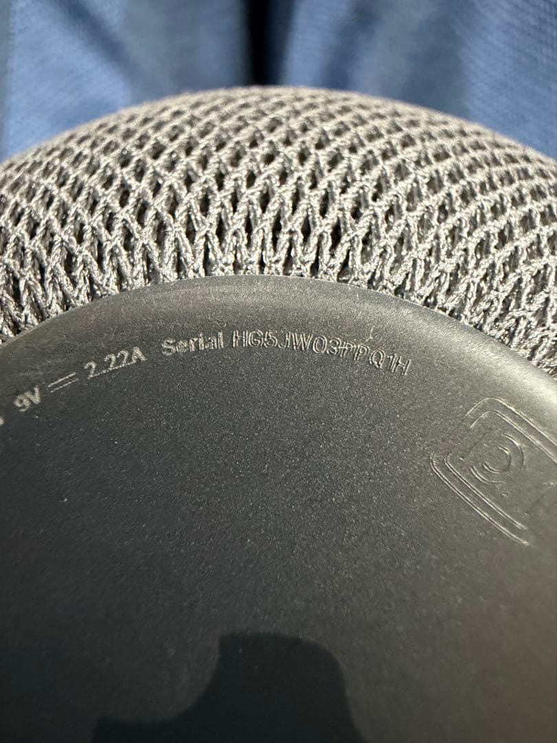 Apple Pod mini 2台セット