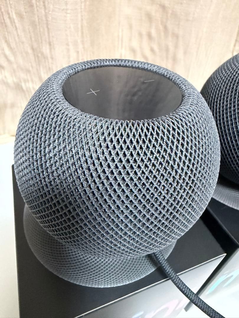 Apple Pod mini 2台セット