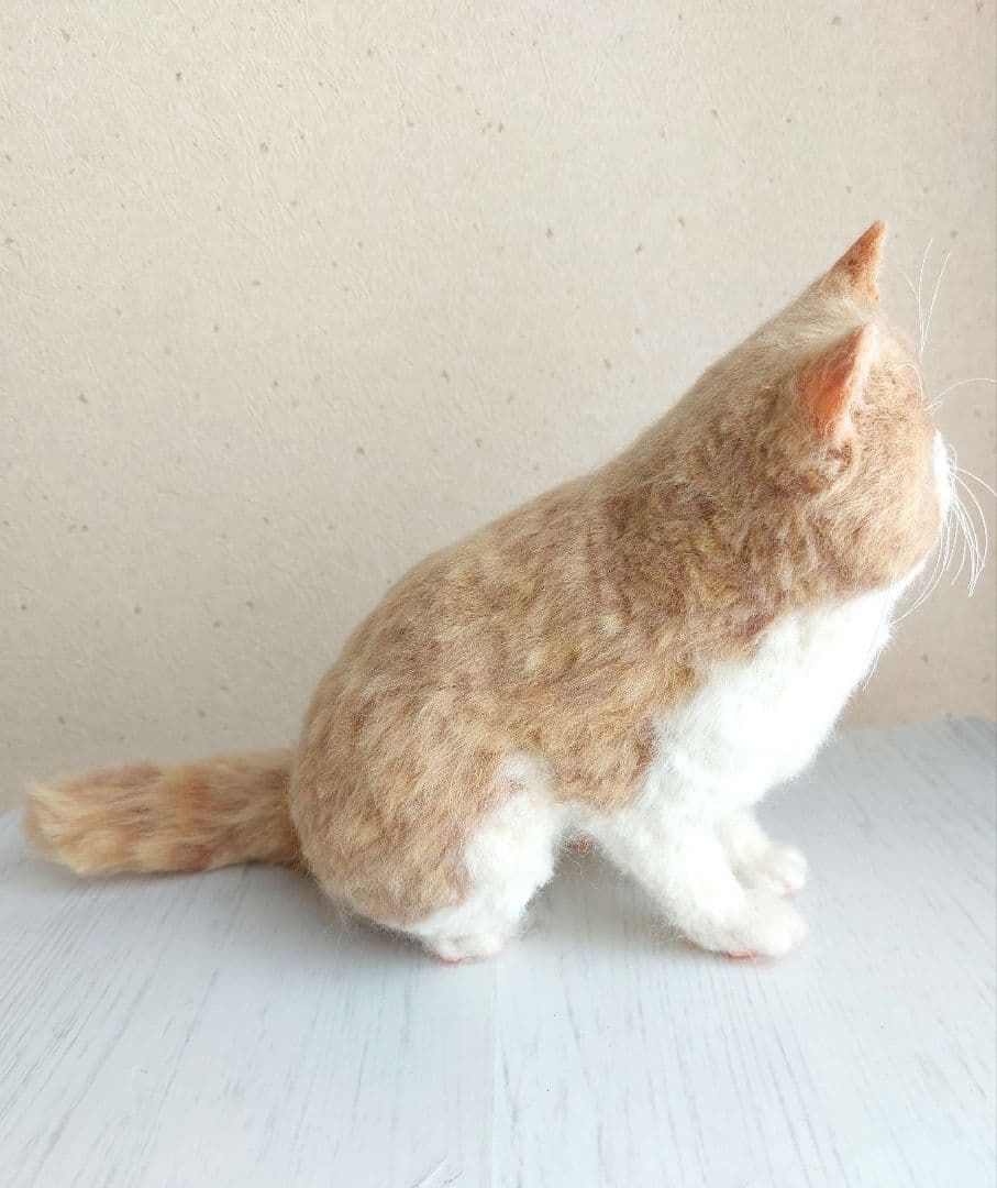 羊毛フェルト　エキゾチックショートヘア