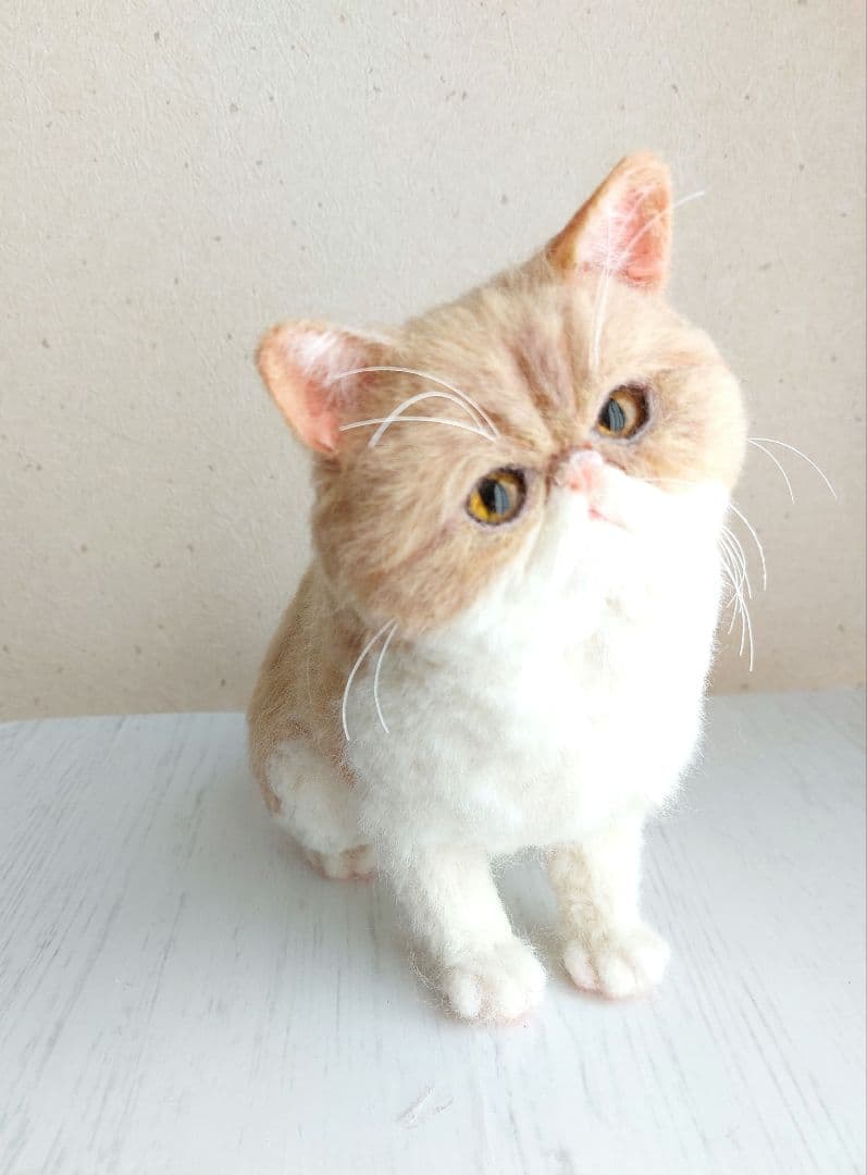 羊毛フェルト　エキゾチックショートヘア