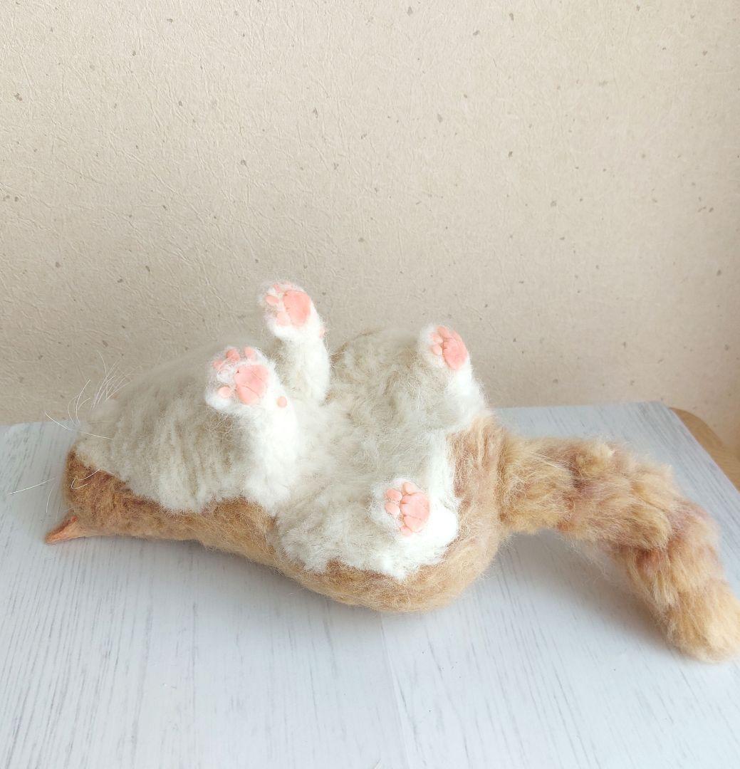 羊毛フェルト　エキゾチックショートヘア