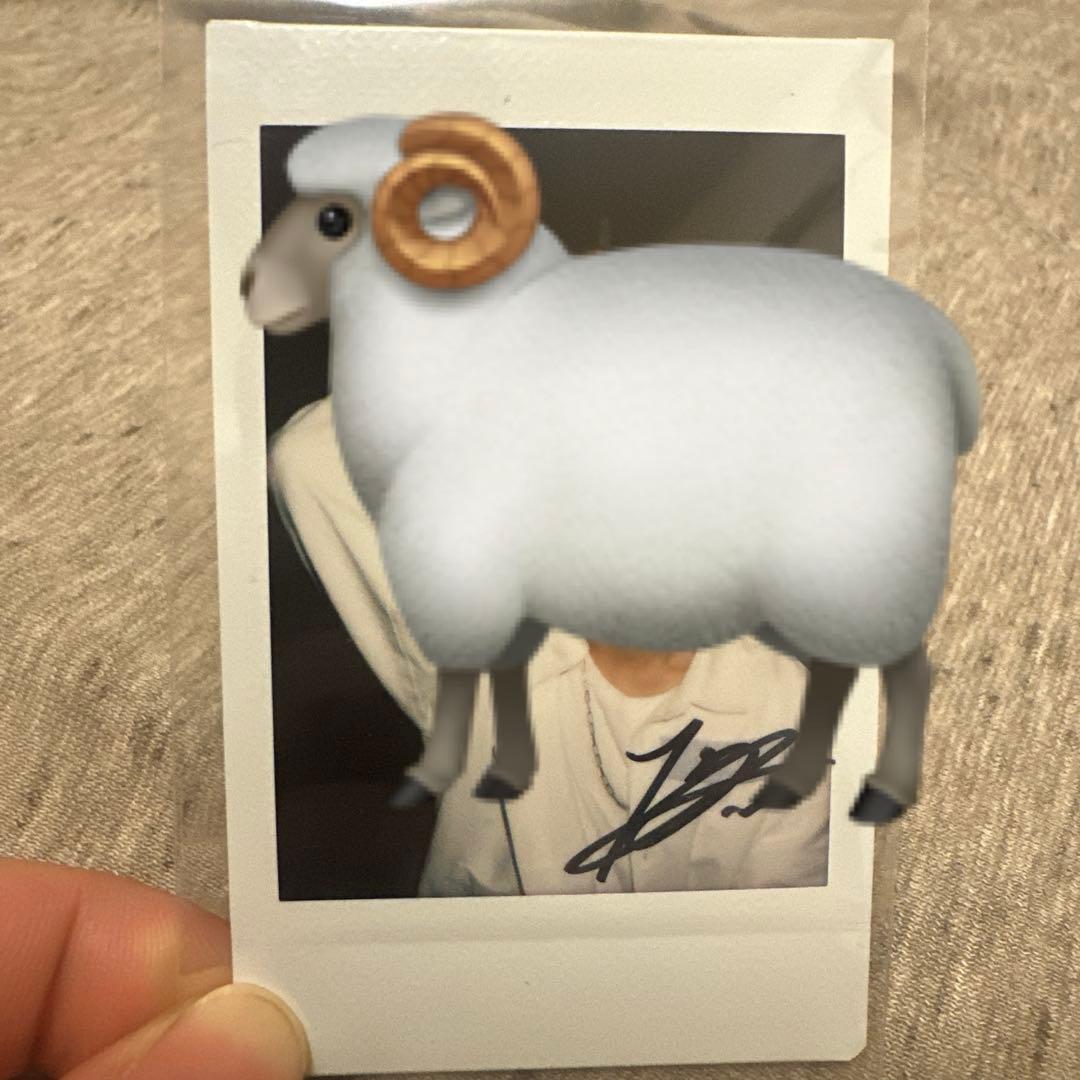 wayV ヤンヤン 直筆サイン入りチェキ