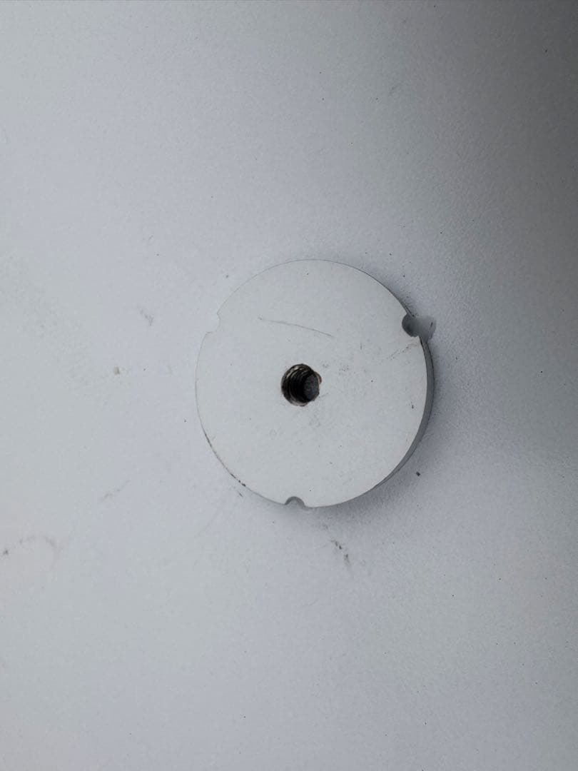 THE SKULL DISK DAMNGOOD!! × NATURE TONES