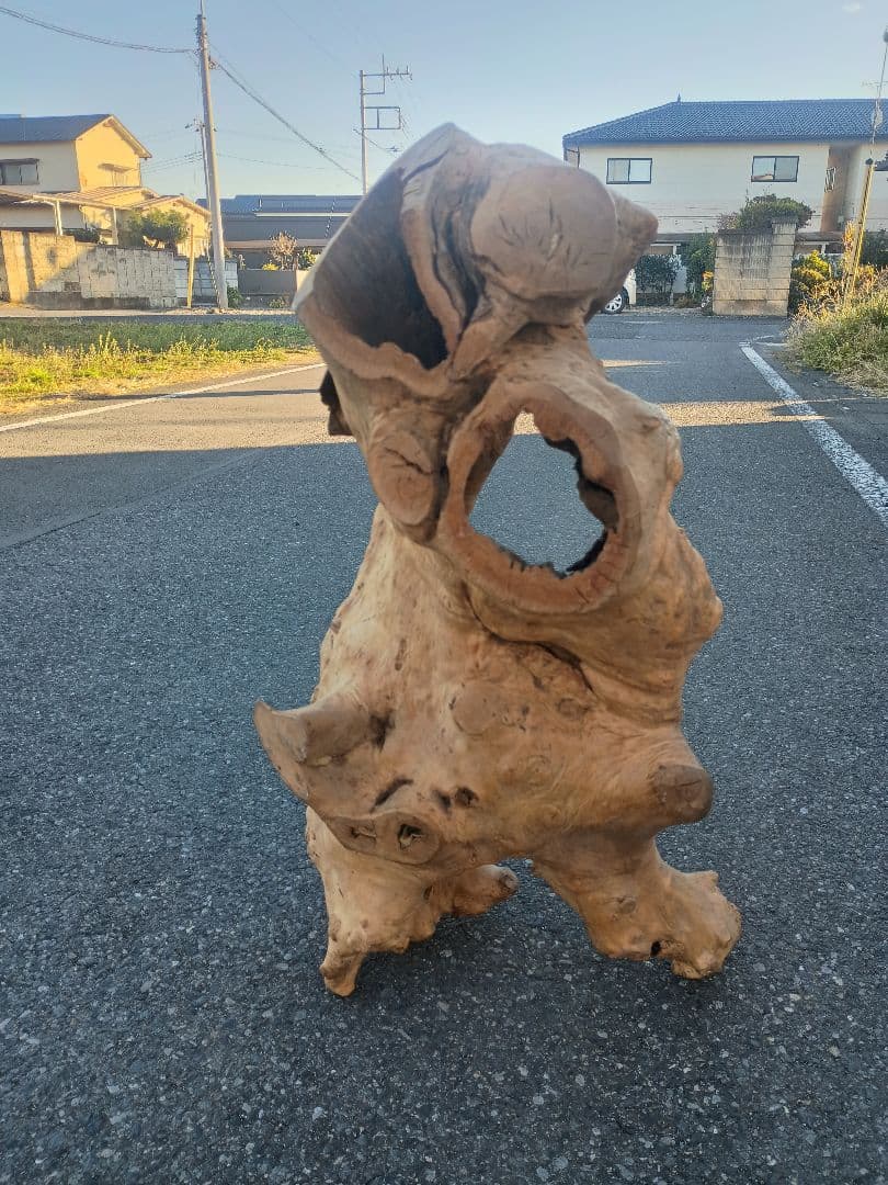 自然天然木(根)とても珍人間の歩姿です自然の感動てきア−ト作品です一品です