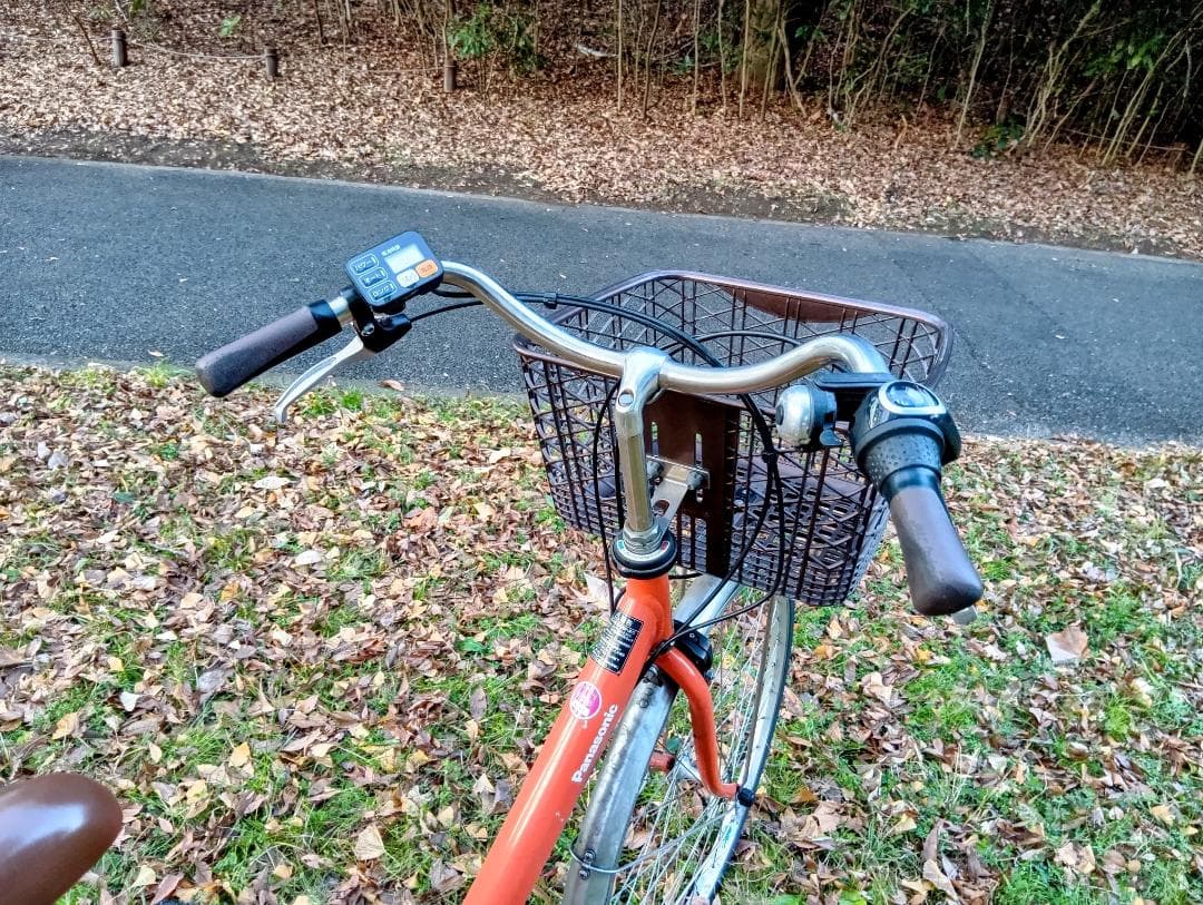 【軽量モデル】Panasonic ビビ・L 2019年製 バッテリー80%以上