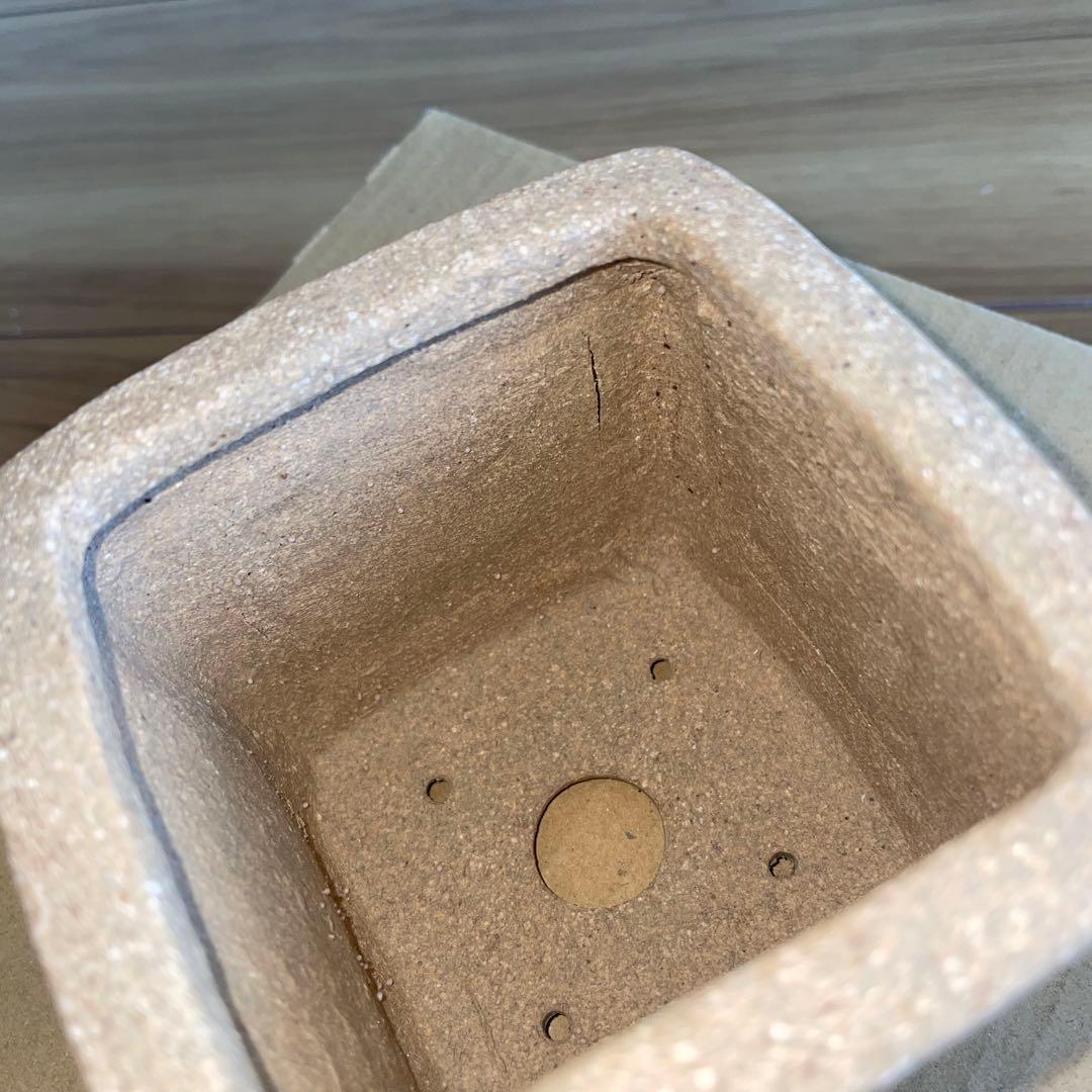 盆栽鉢　桑津香石　絵鉢　落款印　山水画　梅　桜　鳥　松　四角　山野草