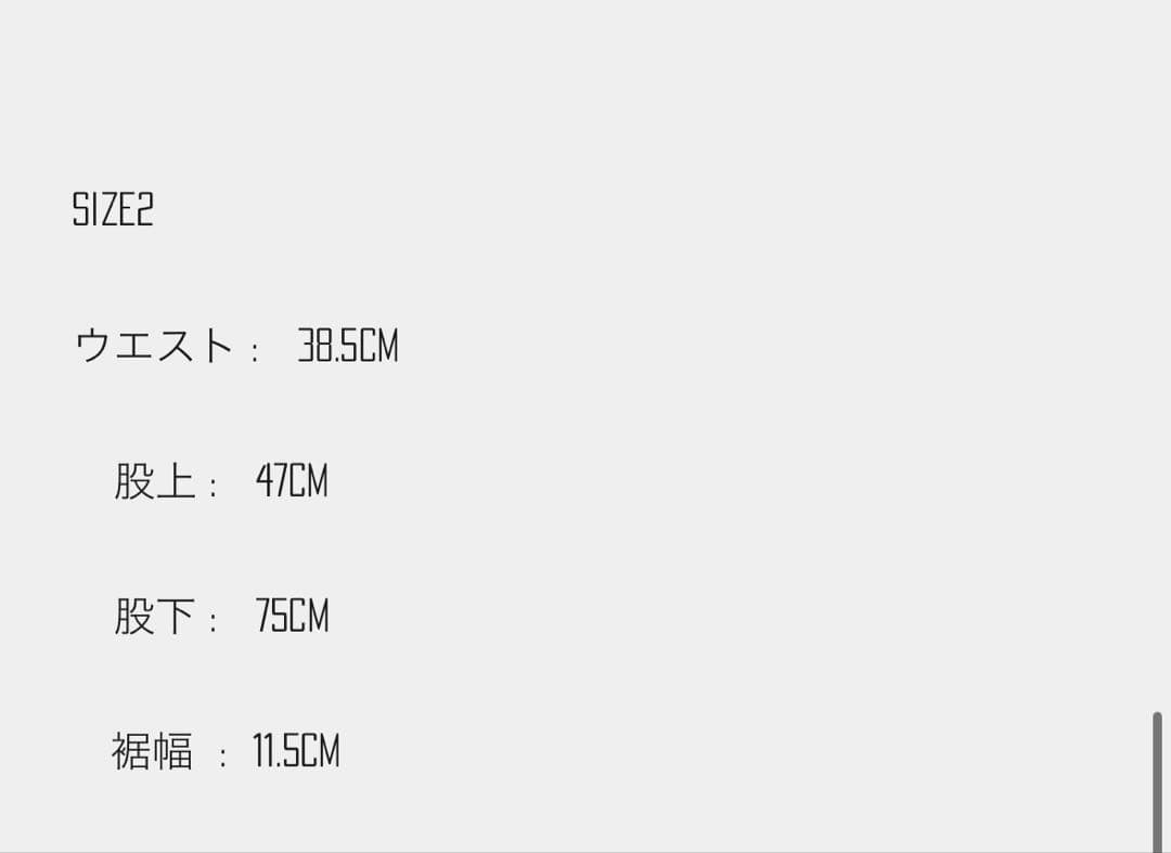 CTLS | DAMAGED USUAL PANTS '24カタリストパンツ