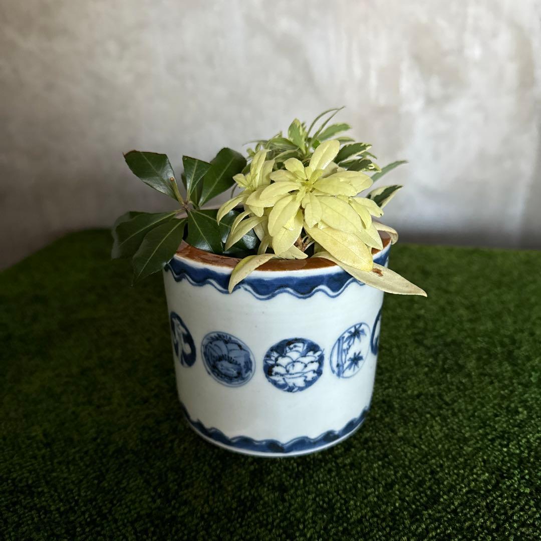 江戸後期〜明治期 古伊万里 染付丸文火入れ プランターに！　K285