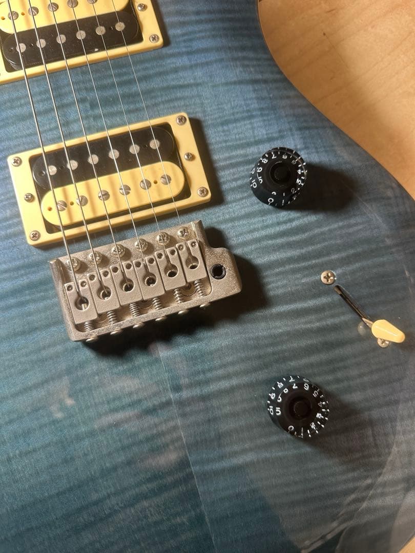 ギター PaulReedSmith PRS SE Custom24 Whale Blue