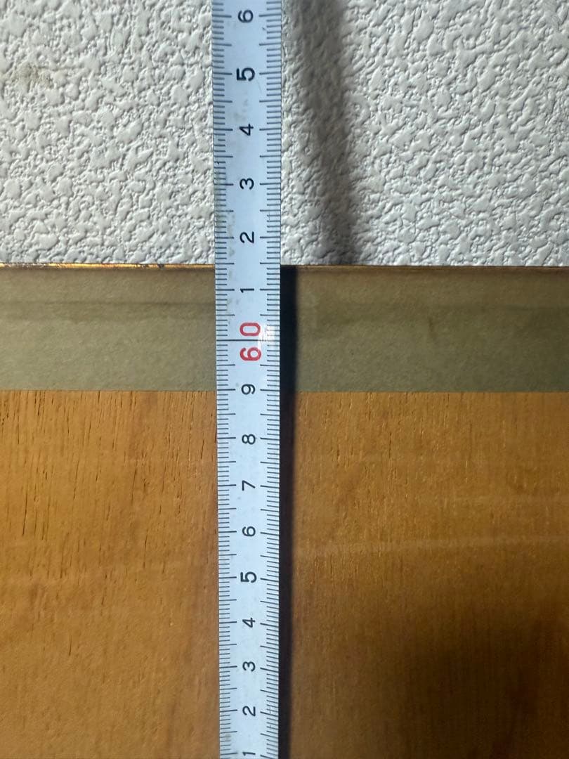 ジャン＝エミール・ラボルール 【昆虫学者 (L' Entomologiste】