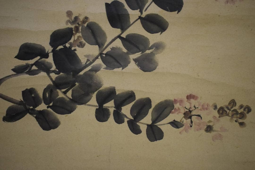 不詳/作者不詳/花図/布袋屋掛軸HJ-397