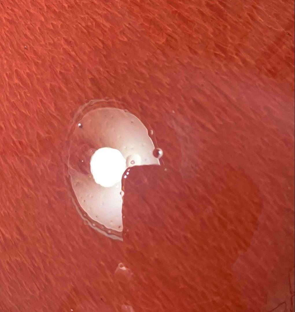 中国 紅釉羊耳付壺　f2250914