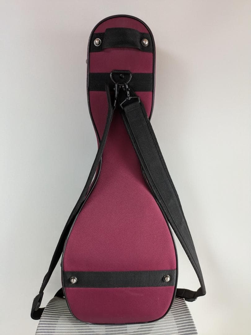 Amiet スーパーライト マンドリンケース