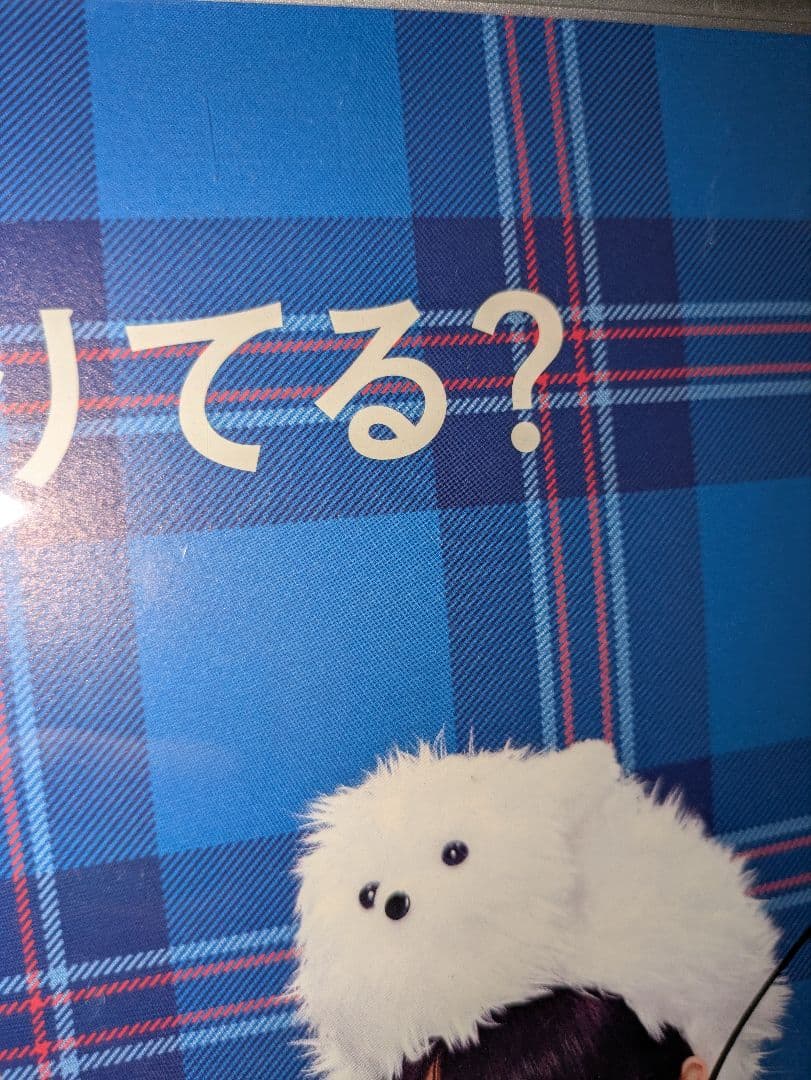 【週末限定セール】乃木坂　直筆サイン入りポスター