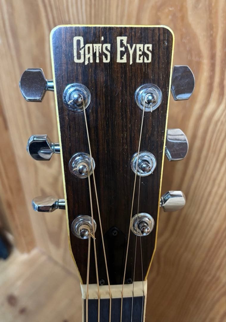 年末特価【大文字ロゴ】　Cat's Eyes CE-250 JV ハードケース