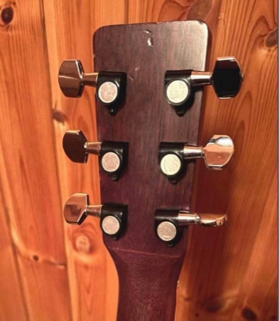 年末特価【大文字ロゴ】　Cat's Eyes CE-250 JV ハードケース