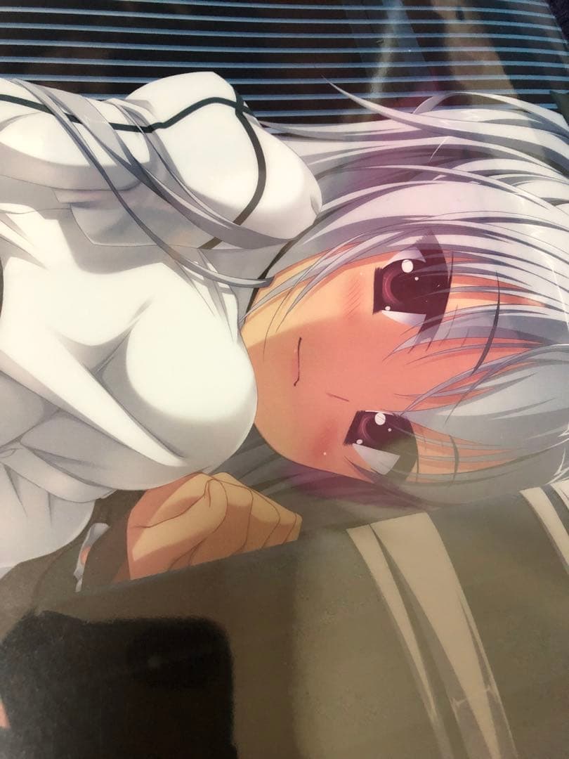 【非売品】ドラクリオット エリナ こぶいち 描き下ろし A4 クリアポスター