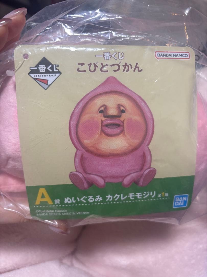 BANDAI NAMCO こびとづかん ぬいぐるみ A賞
