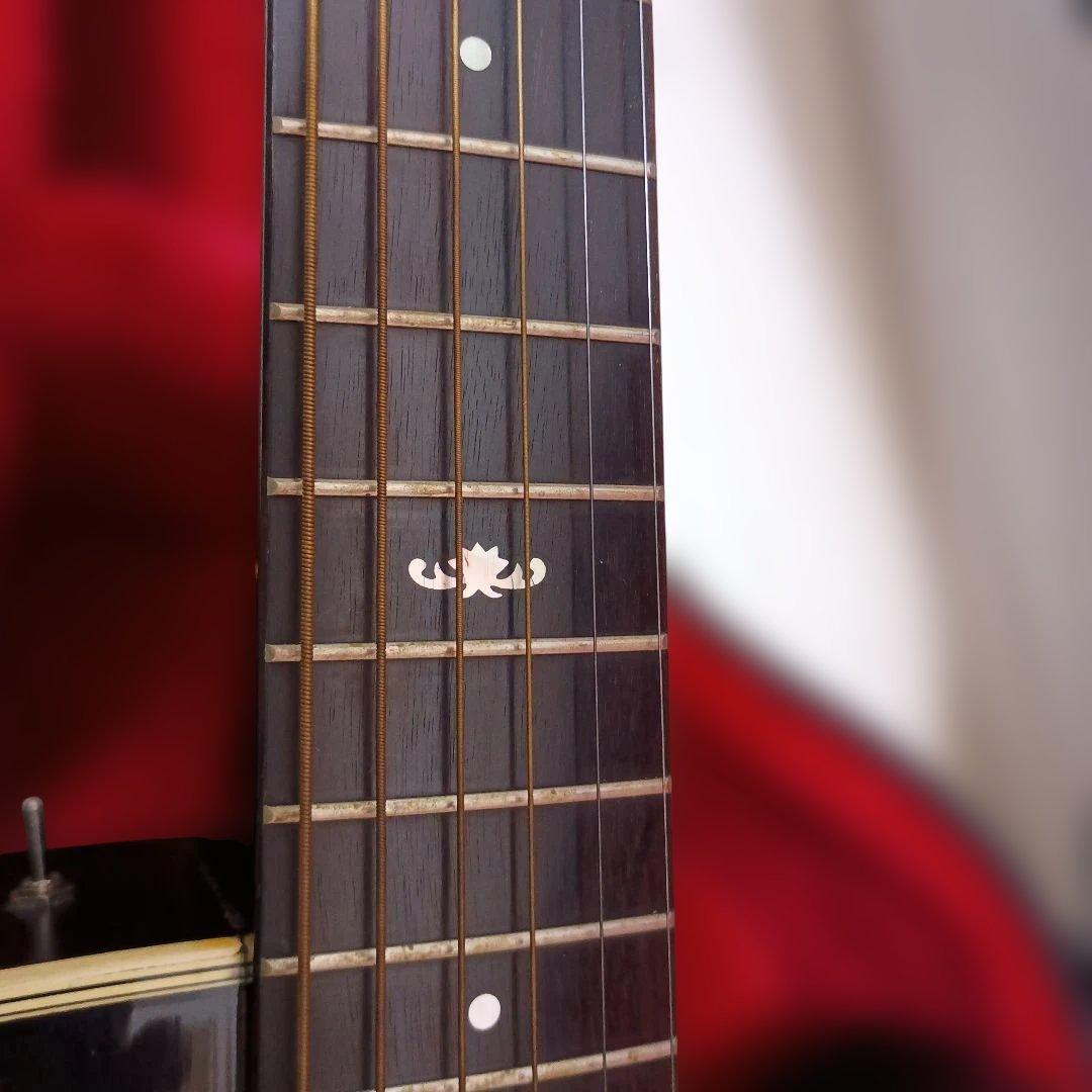 Alvarez DY-56 アコースティックギター 1985年製