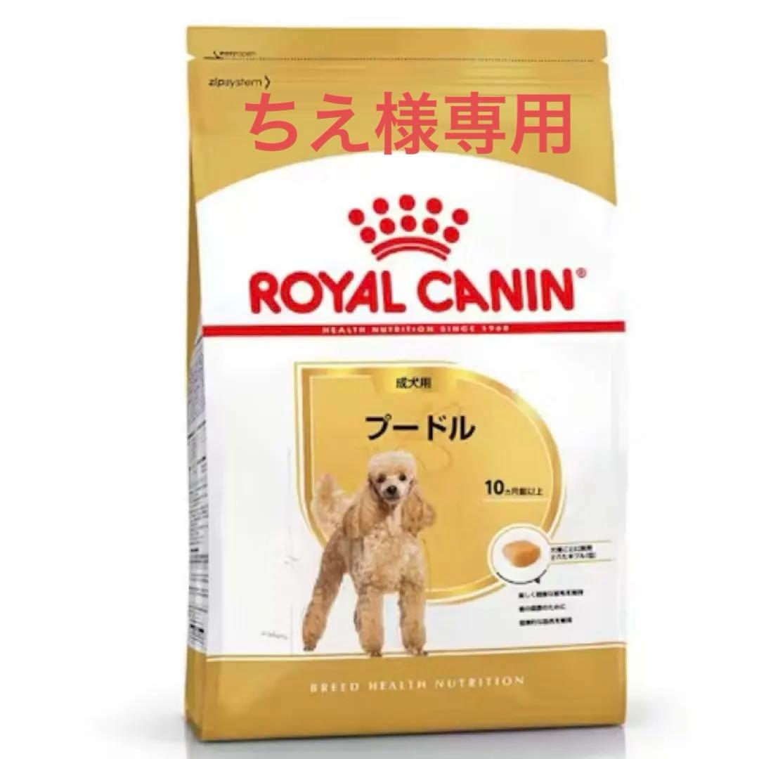  CANIN プードル 成犬用 ドライフード7.5k