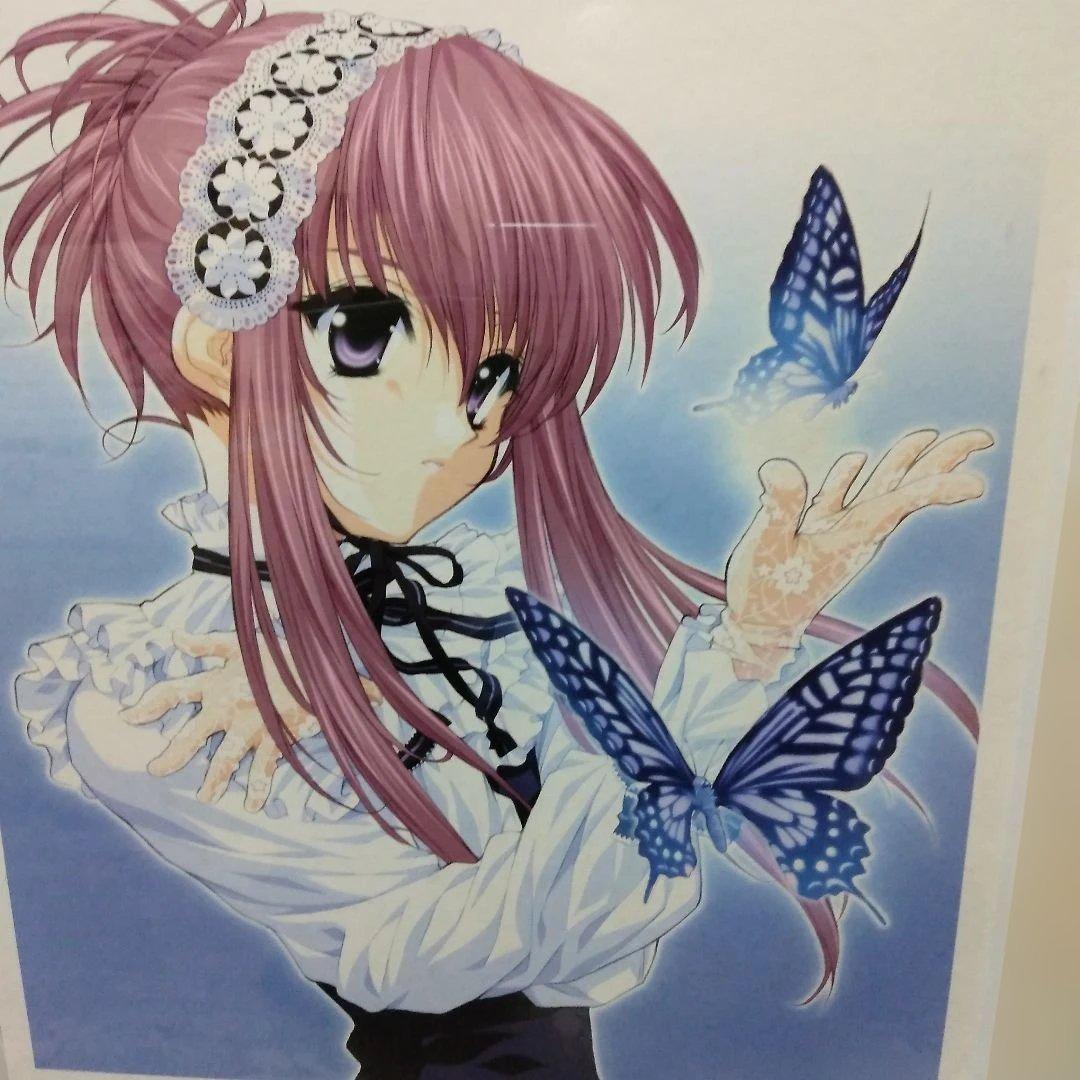 天広直人　「シスター・プリンセス」　「胡蝶の調べ」限定商品