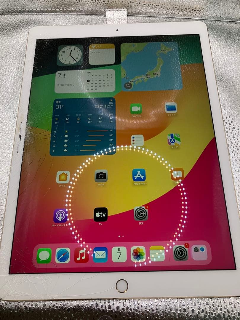 iPad Pro 12.9 第2世代 512GB セルラー ゴールド　動作確認済