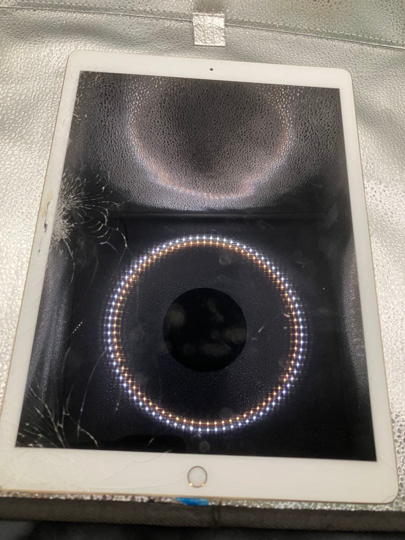 iPad Pro 12.9 第2世代 512GB セルラー ゴールド　動作確認済