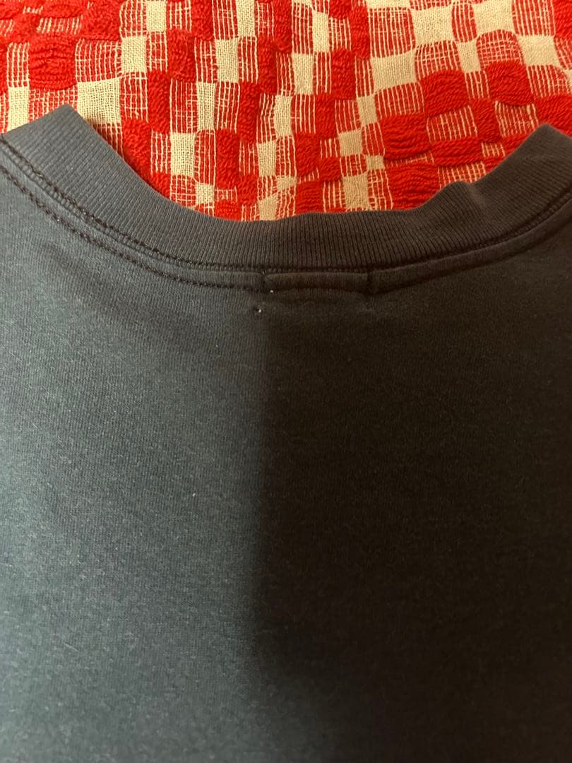 初期 テンダーロイン tシャツ 希少