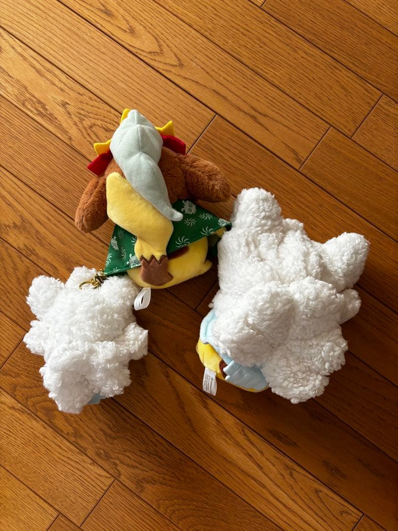 メガチルタルスポンチョピカチュウ、エンテイピカチュウ