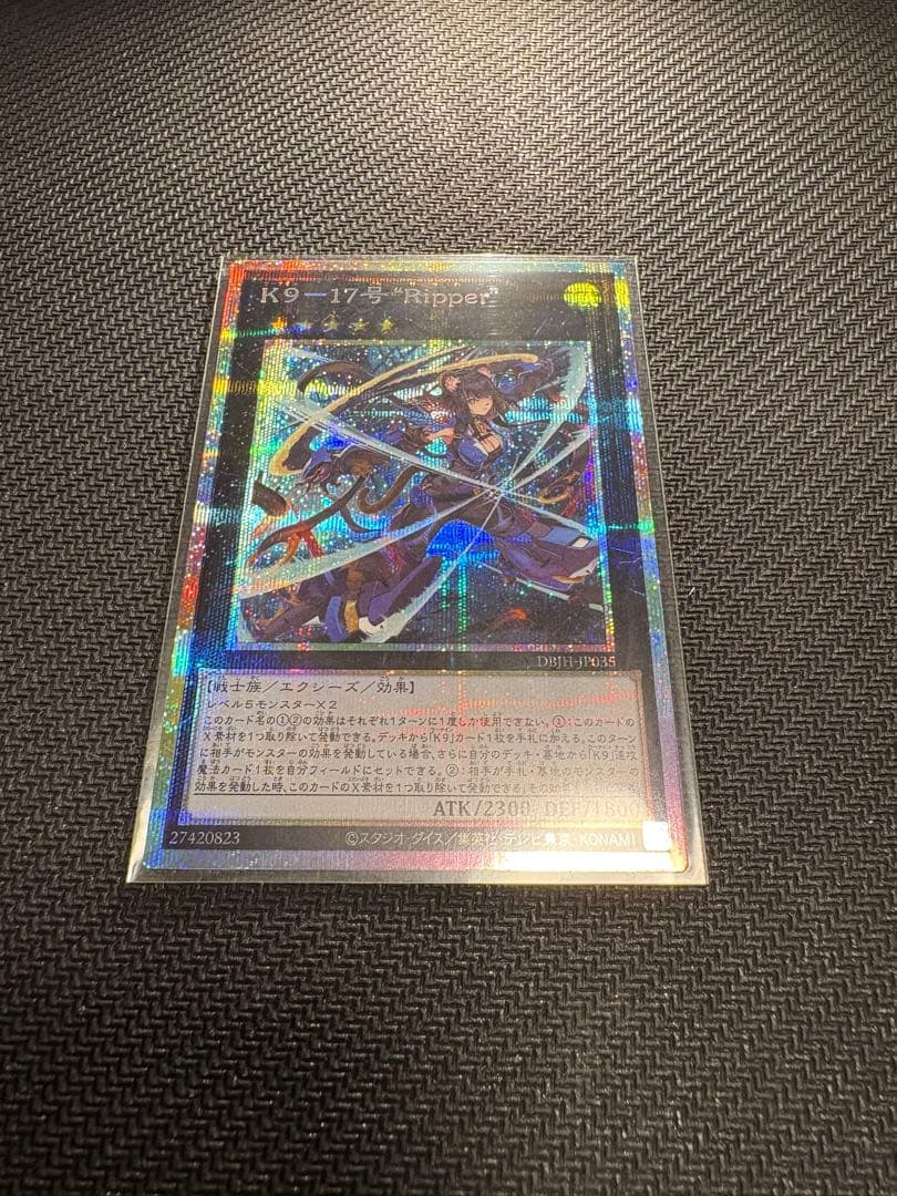 K9-17号 Ripper プリシク