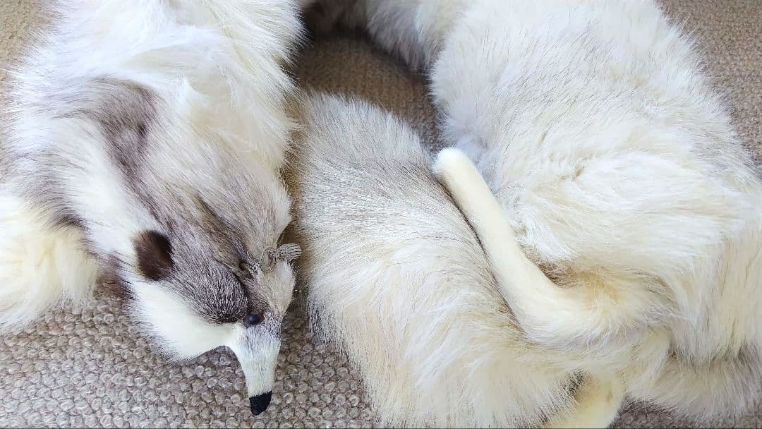 ブルーフォックス 襟巻き