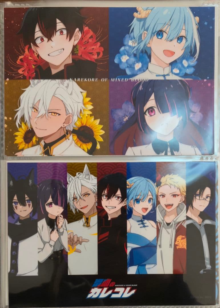 混血のカレコレ　ブロマイドまとめ売り