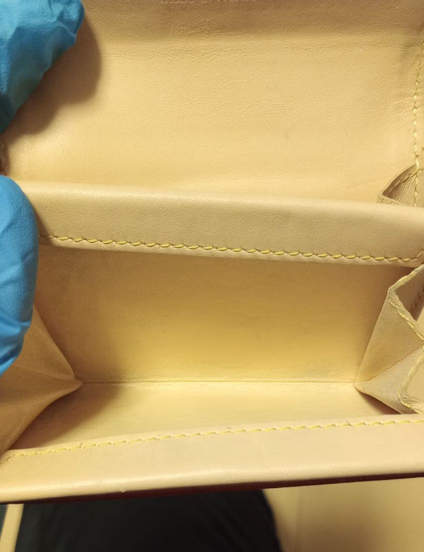 Louis Vuitton マルチカラー ケース