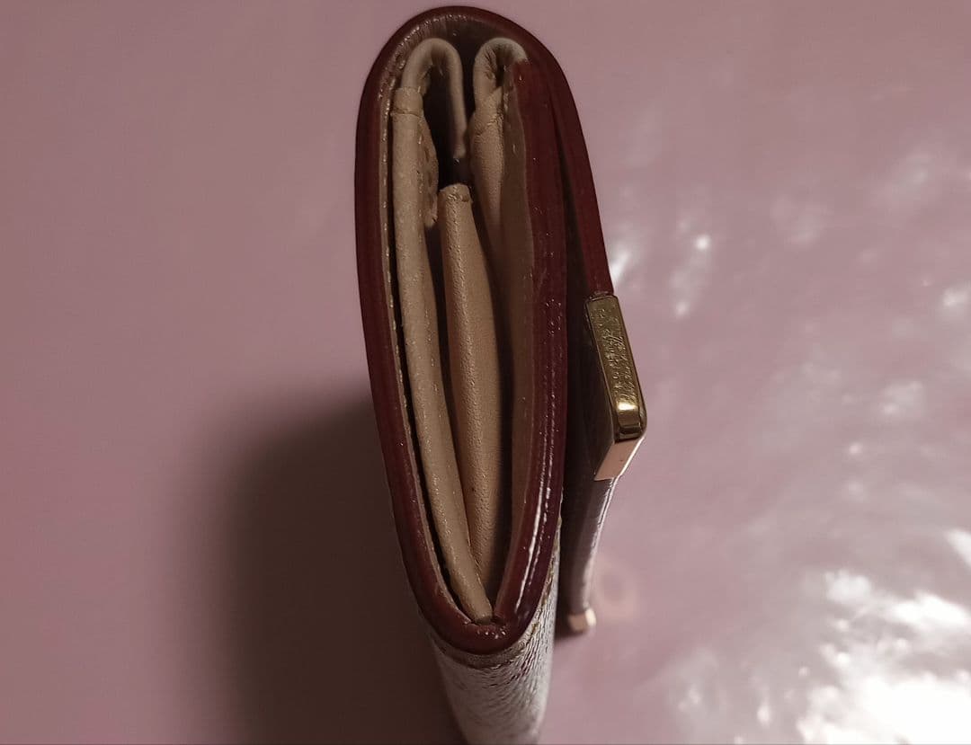 Louis Vuitton マルチカラー ケース